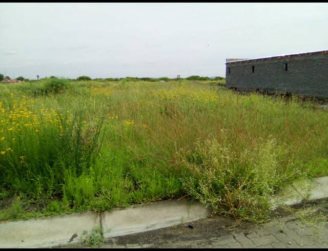 540M² VACANT LAND FOR SALE IN BOITEKONG